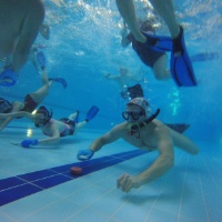 Underwater Hockey University of Guelph Fitness and Recreation