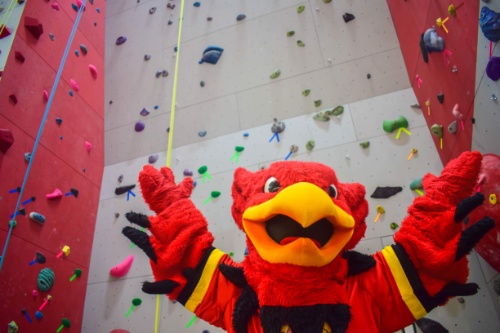 Indoor Rock Climbing - University of Guelph Fitness and Recreation