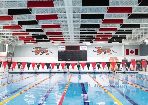 Swimming University Of Guelph Fitness And Recreation