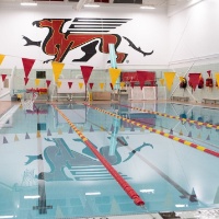 Swimming - University of Guelph Athletics