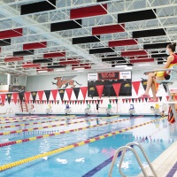 Swimming - University of Guelph Fitness and Recreation